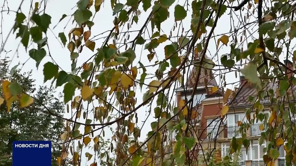 В ОБЛАСТНОМ ГИДРОМЕТЦЕНТРЕ РАССКАЗАЛИ, КАКОЙ БУДЕТ ПОГОДА В ОРЕНБУРЖЬЕ В ЭТИ ВЫХОДНЫЕ