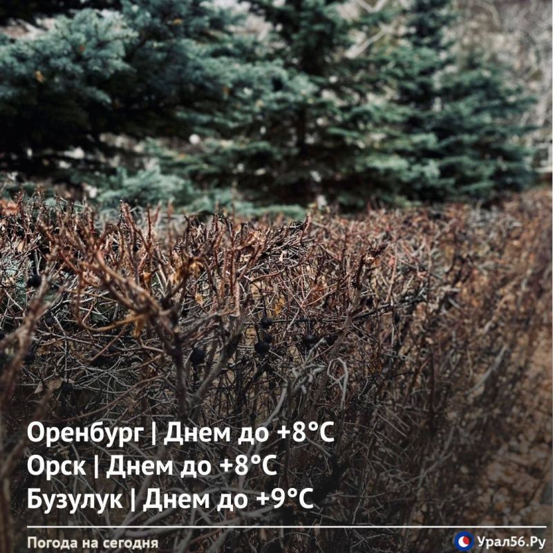 Доброе утро