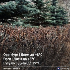 Доброе утро