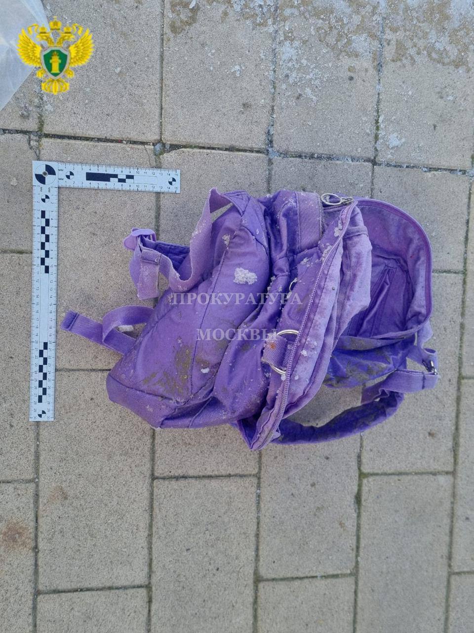 6-летнего ребенка, чью голову нашли в пруду в Москве, убил и расчленил отчим