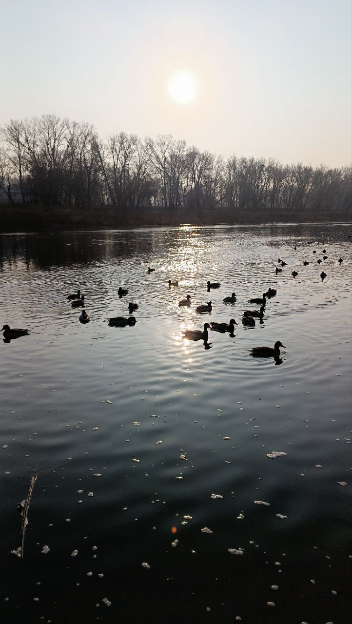 Доброе утро! Прогноз погоды на 16 ноября