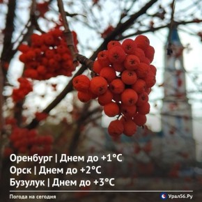 Доброе утро