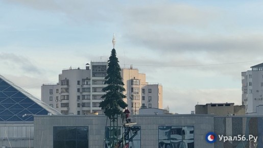 До Нового года 44 дня. Елку начали ставить около ДК Газовик