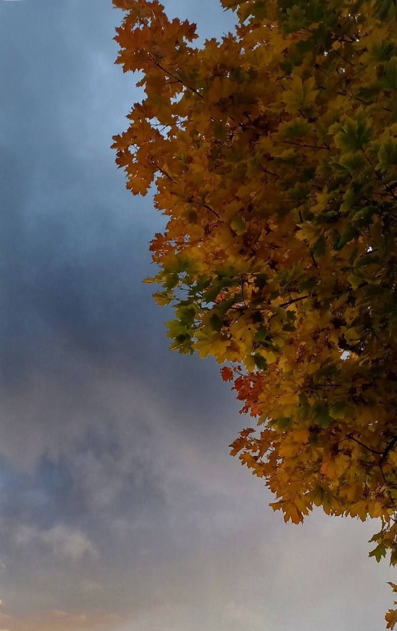 Доброе утро, Оренбуржье! Прогноз погоды на 17 ноября