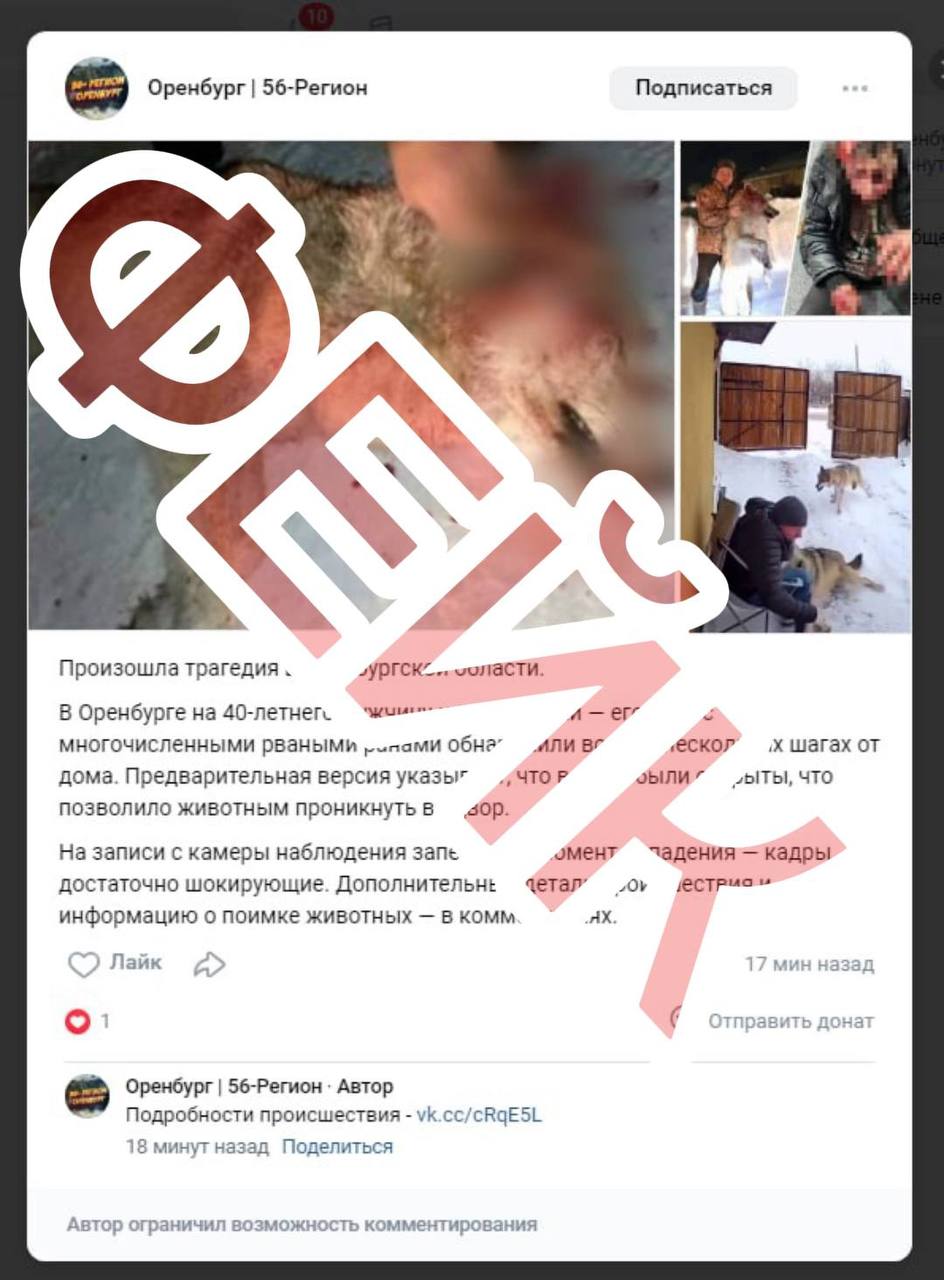 В Оренбурге опровергли распространяемые в сети сообщения о «нападении волков»