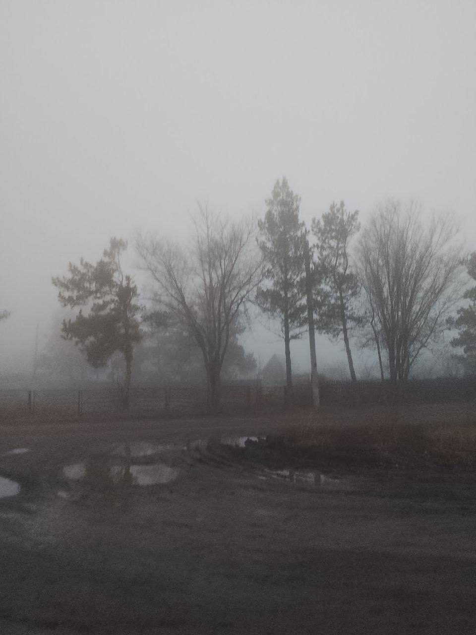 Доброе утро, Оренбуржье! Прогноз погоды на 18 ноября