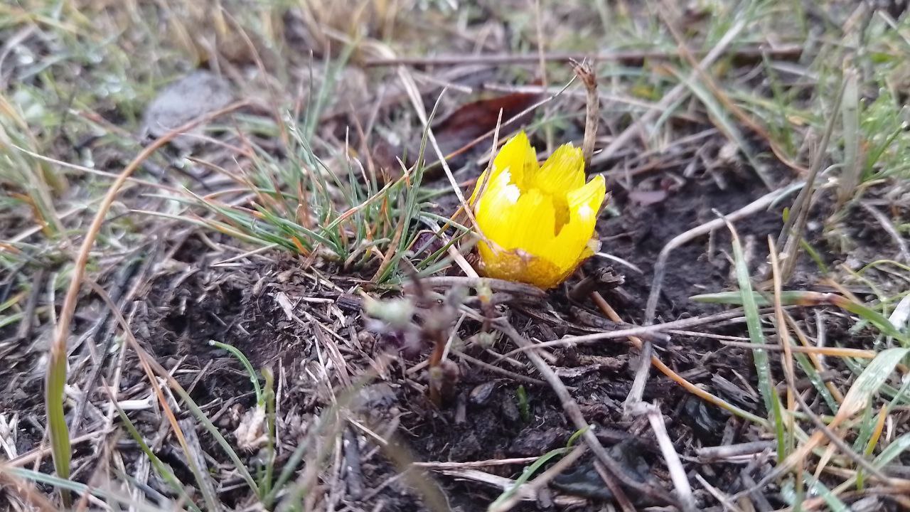 Доброе утро! Прогноз погоды на 19 ноября