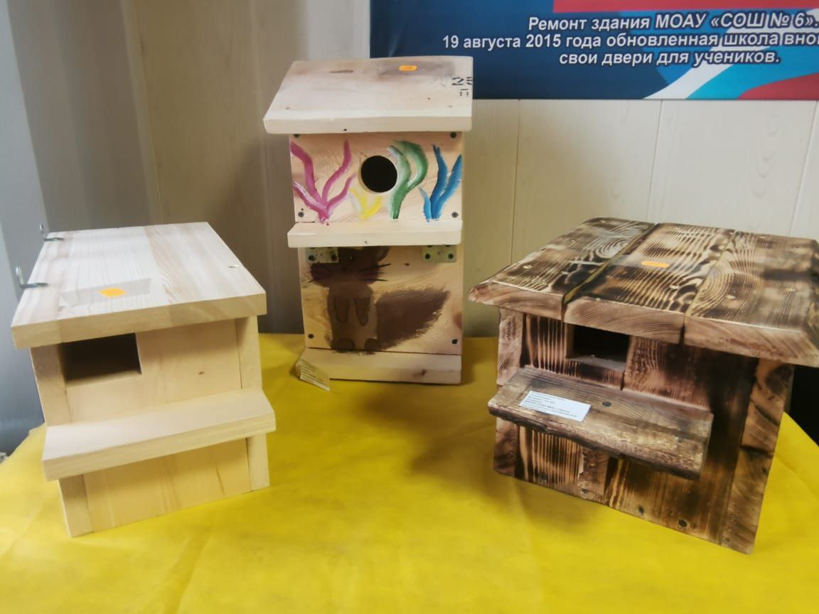 Конкурс доброты и заботы. В Ленинском районе подвели итоги экологического конкурса «Беличьи домики» Конкурс доброты и заботы. В Ленинском районе подвели итоги экологического конкурса «Беличьи домики»