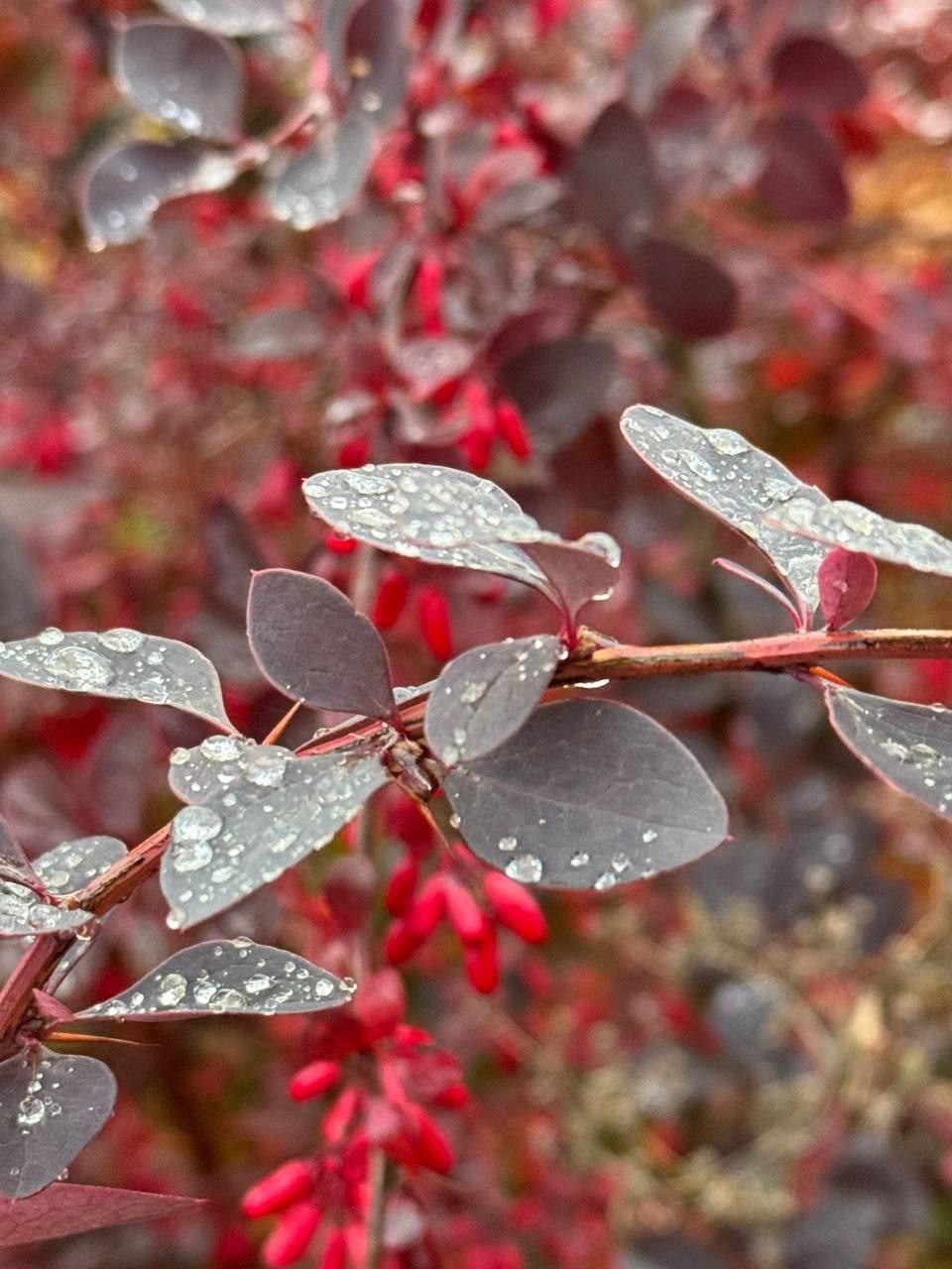 Доброе утро! Прогноз погоды на 20 ноября