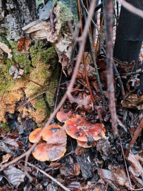 Доброе утро! Прогноз погоды на 23 ноября