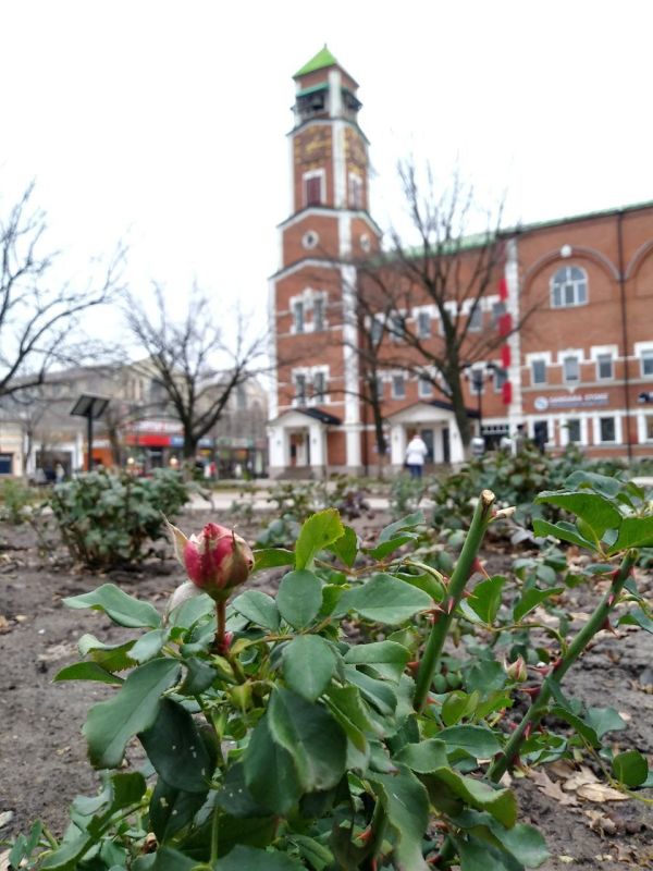 Доброе утро! Прогноз погоды на 24 ноября