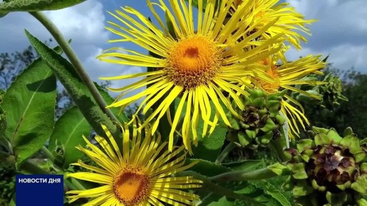                ,     .     6     ...