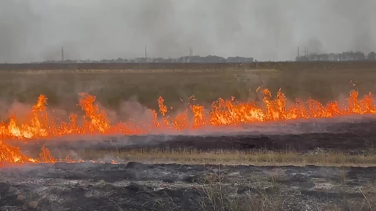 Оренбуржье вошло в топ-5 регионов по высокой оперативности тушения лесных пожаров