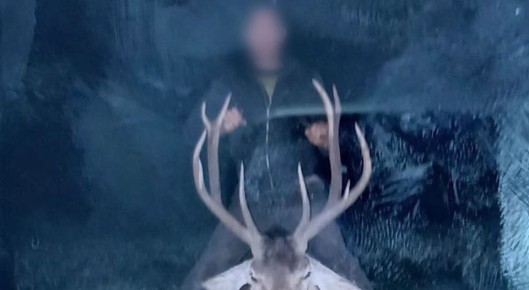 Браконьер с тушей оленя пойман при попытке бегства от полиции в Октябрьском районе