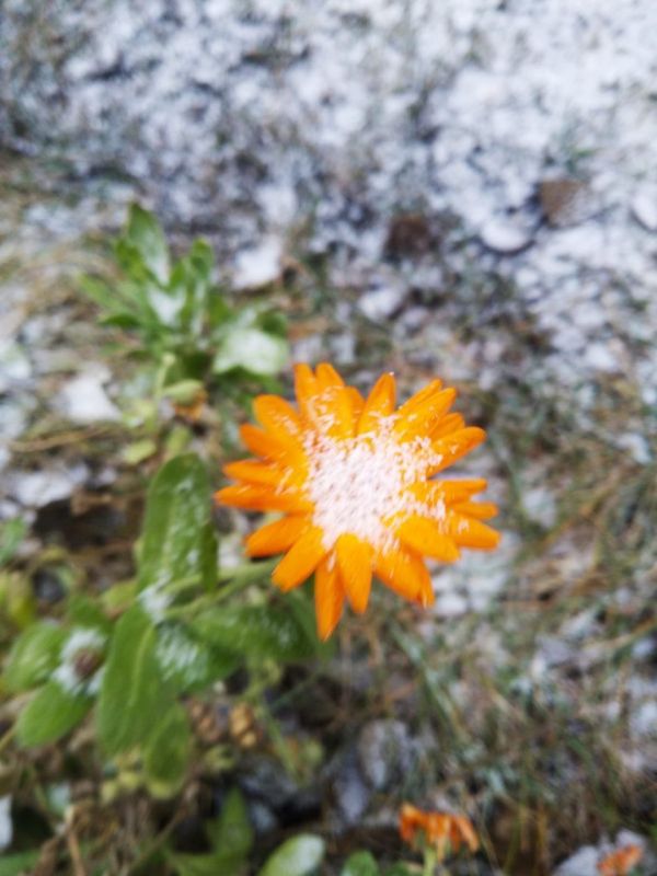 Доброе утро! Прогноз погоды на 4 декабря