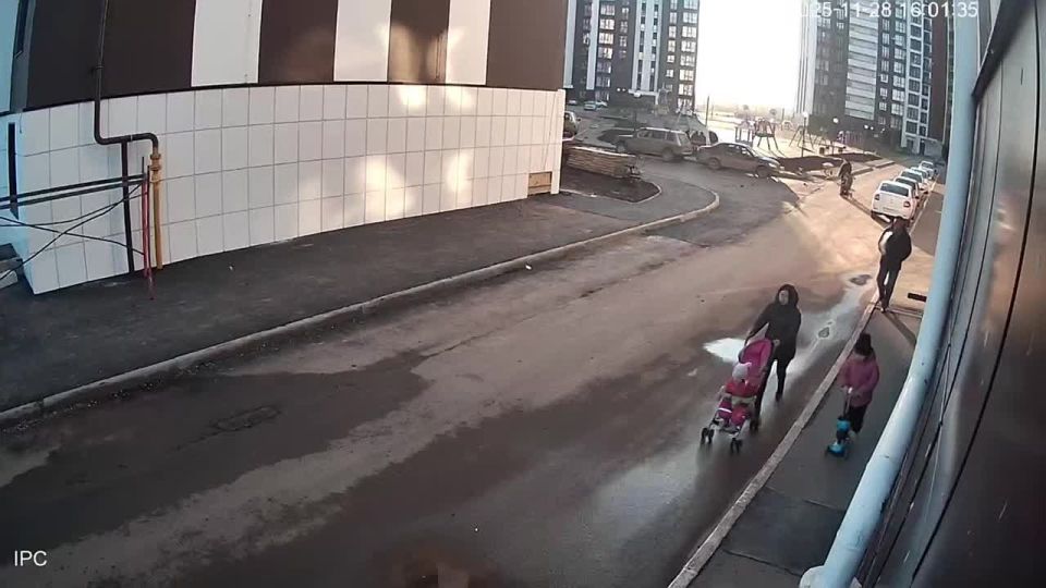 Нападением бездомных собак на женщину с двумя детьми в Оренбурге заинтересовался Александр Бастрыкин