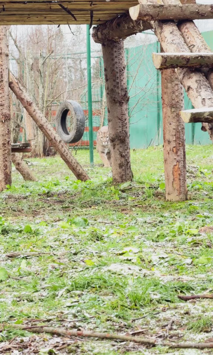 А как вы проводите выходные?