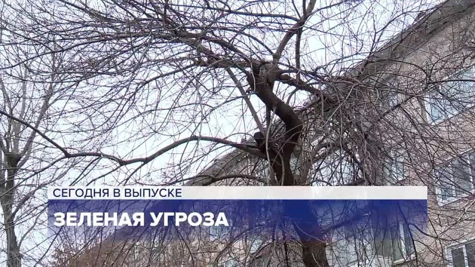 �������� �������. ��������� ������ �����Ȼ �� ���