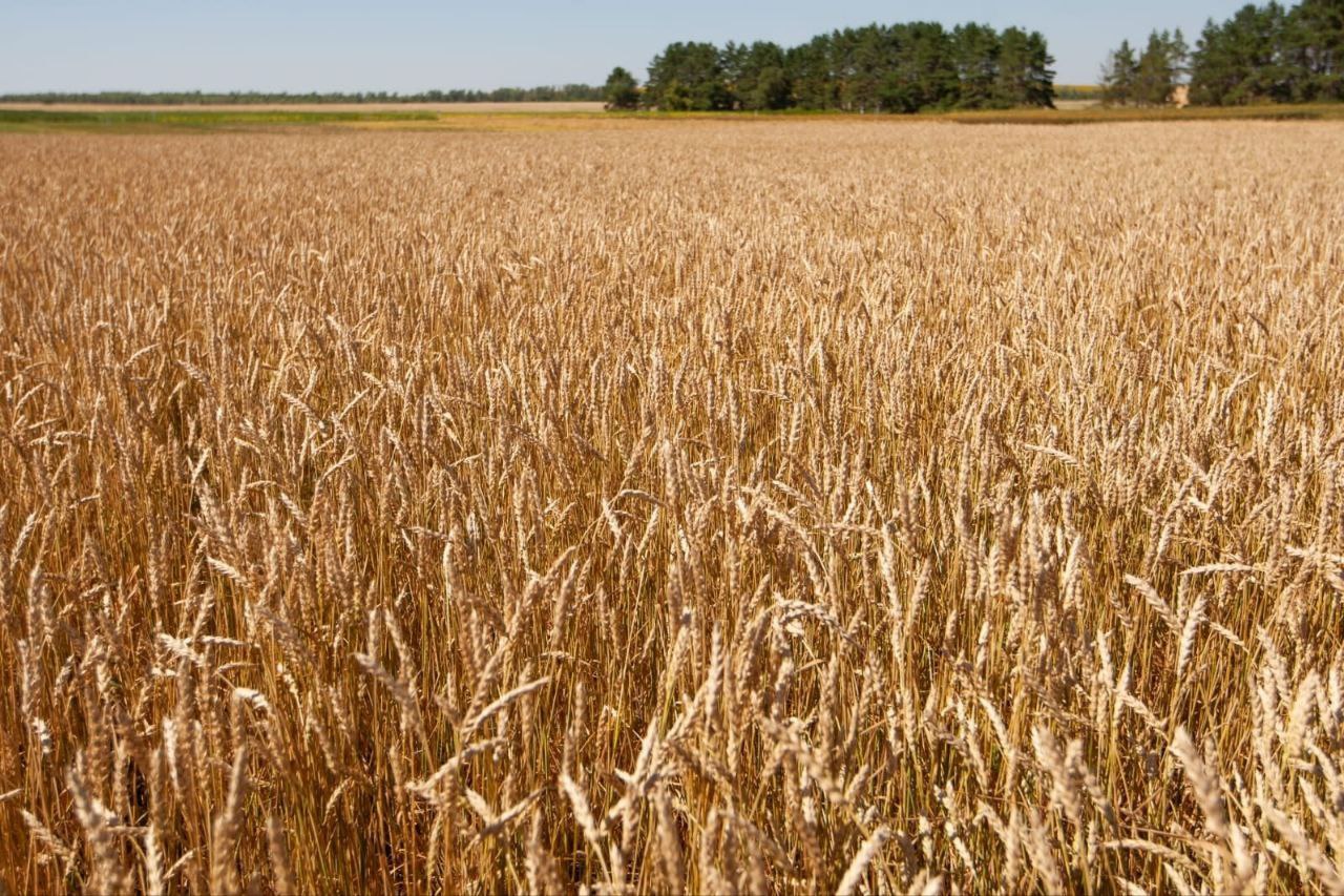 Уважаемые оренбуржцы!. . Сегодня, 7 декабря, Оренбургская область отмечает день своего образования в её нынешних границах Уважаемые оренбуржцы!. . Сегодня, 7 декабря, Оренбургская область отмечает день своего образования в её нынешних границах