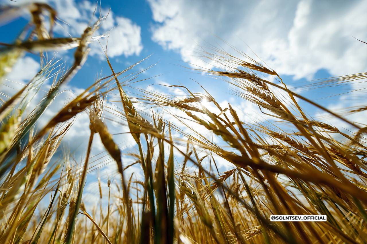 Евгений Солнцев: Дорогие оренбуржцы!. Поздравляю вас с Днём образования Оренбургской области! Наш степной край – удивительное место, с богатой историей, уникальными традициями и многонациональной культурой народов, много лет... Евгений Солнцев: Дорогие оренбуржцы!. Поздравляю вас с Днём образования Оренбургской области! Наш степной край – удивительное место, с богатой историей, уникальными традициями и многонациональной культурой народов, много лет...