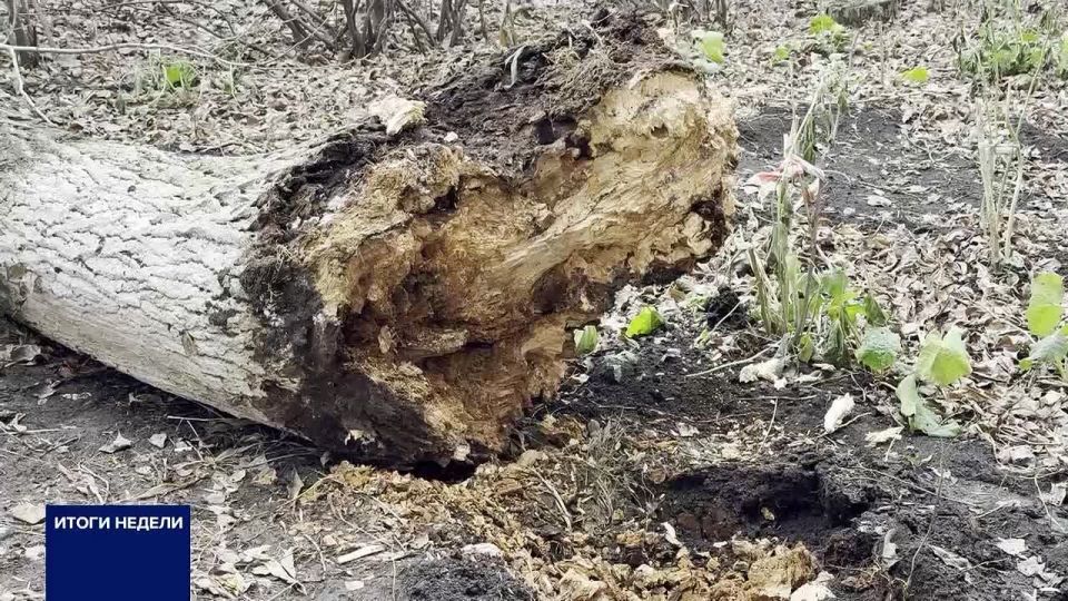 ������� ������. ������� - ��������� ��������������, ������� ��������� � �������� � �������������