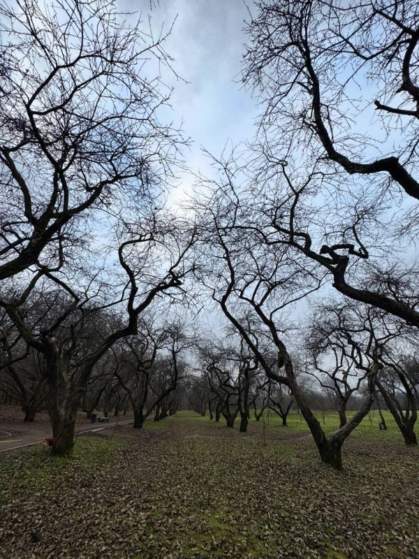 Доброе утро, Оренбуржье! Прогноз погоды на 7 декабря