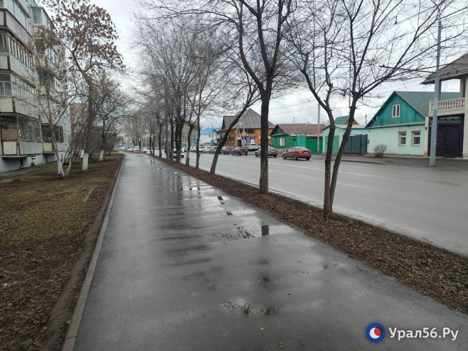 ���� �����. ���� ����������