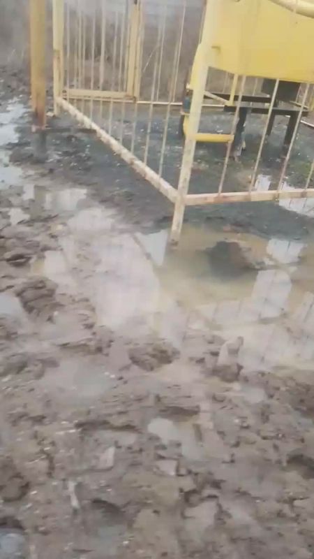 ������ �������� � ���, ��� ������ ���� ���, ��� ��� ���������