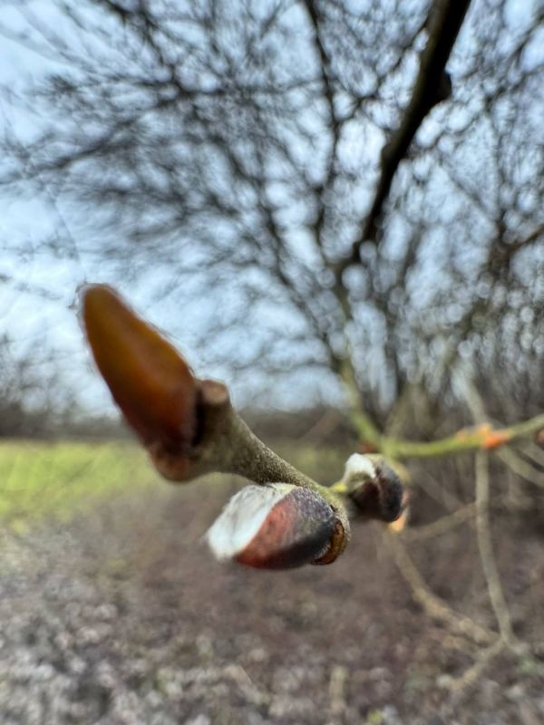 ������ ����, ����������! ������� ������ �� 8 �������