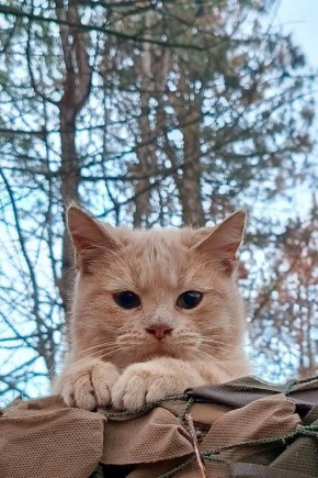 Доброе утро! Прогноз погоды на 8 декабря