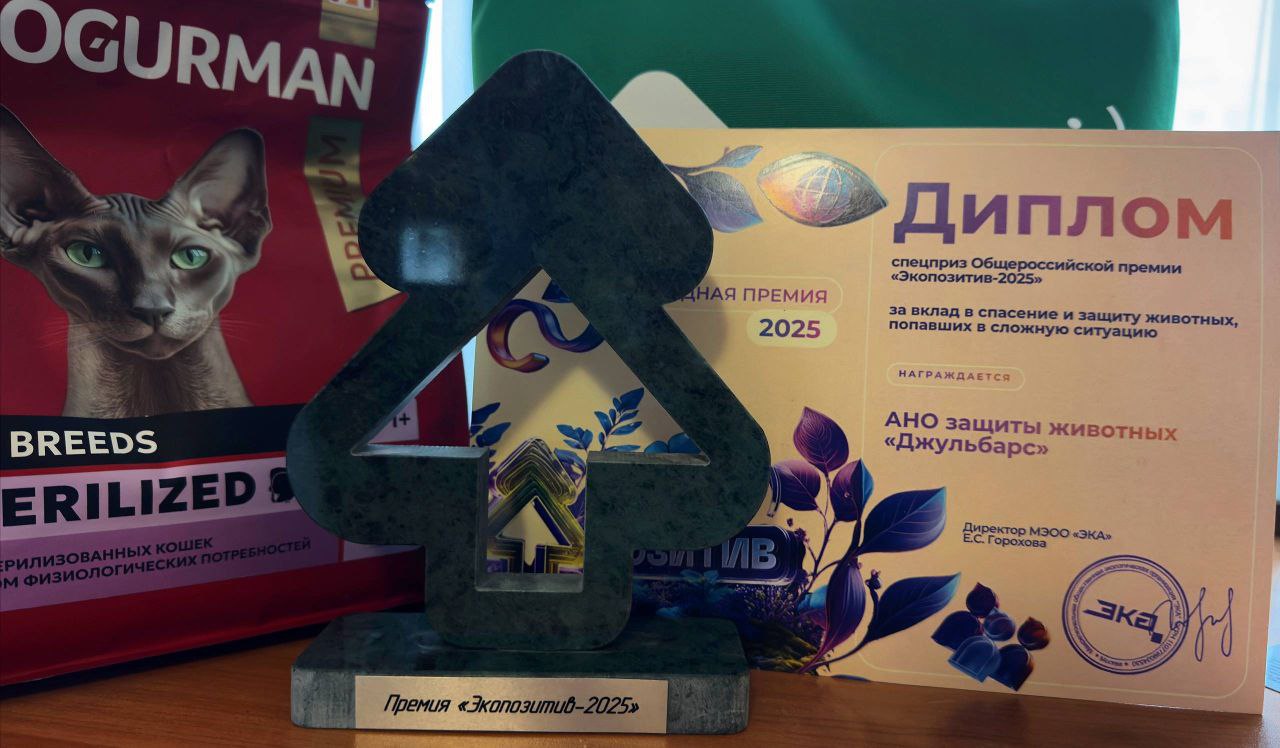 Центр помощи животным «Джульбарс» получил главную награду страны за заботу об экологии – премию «ЭкоПозитив» Центр помощи животным «Джульбарс» получил главную награду страны за заботу об экологии – премию «ЭкоПозитив»