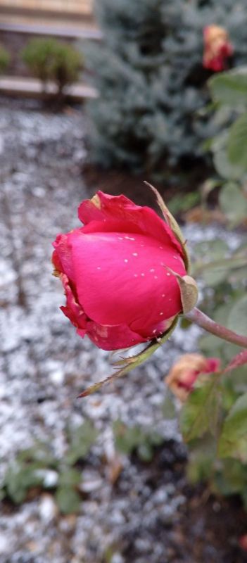 ������ ����! ������� ������ �� 9 �������