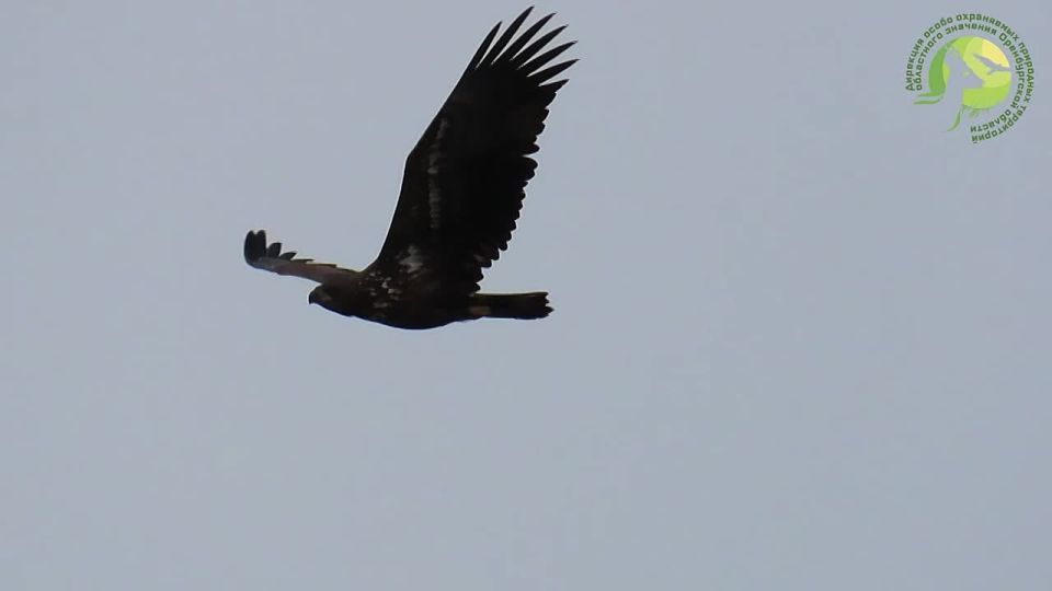 � ���� ��� ������������ �������� ��� ������� ������������� ����