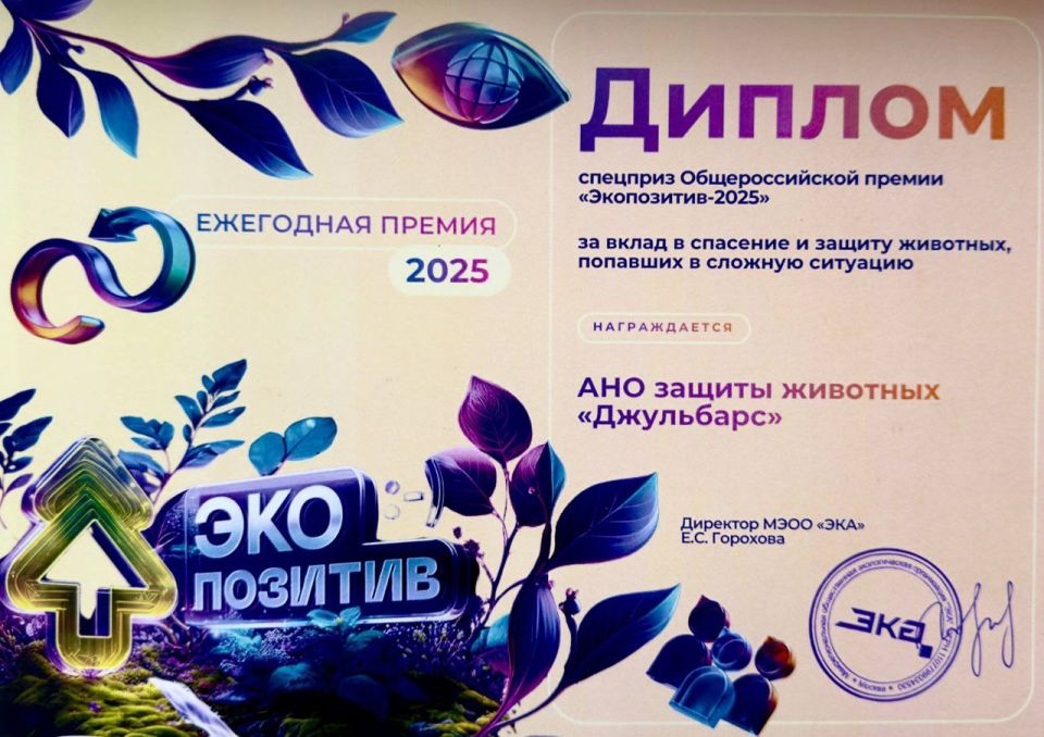 ����� ������ �������� ���������� ������� ������� ������� ������ �� ������ �� �������� � ������ �����������