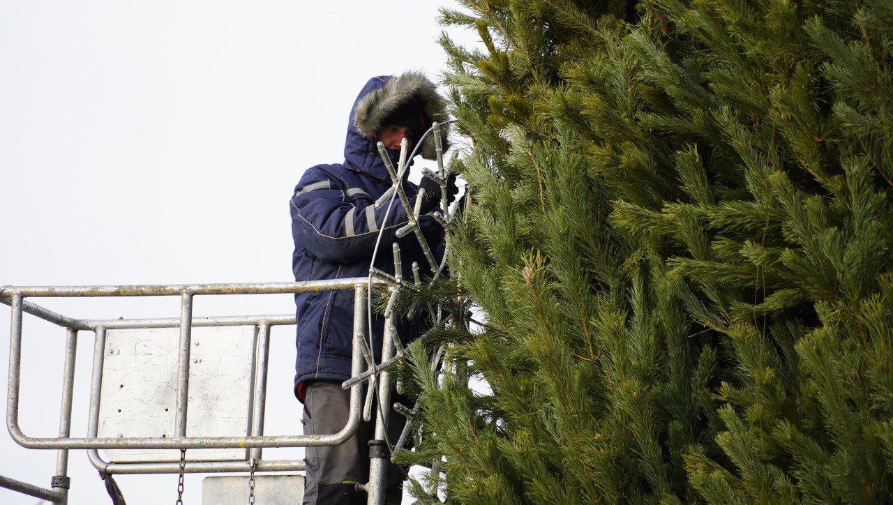 Новогоднюю елку в сквере имени Ю.А. Гагарина Оренбурга готовят к открытию Новогоднюю елку в сквере имени Ю.А. Гагарина Оренбурга готовят к открытию