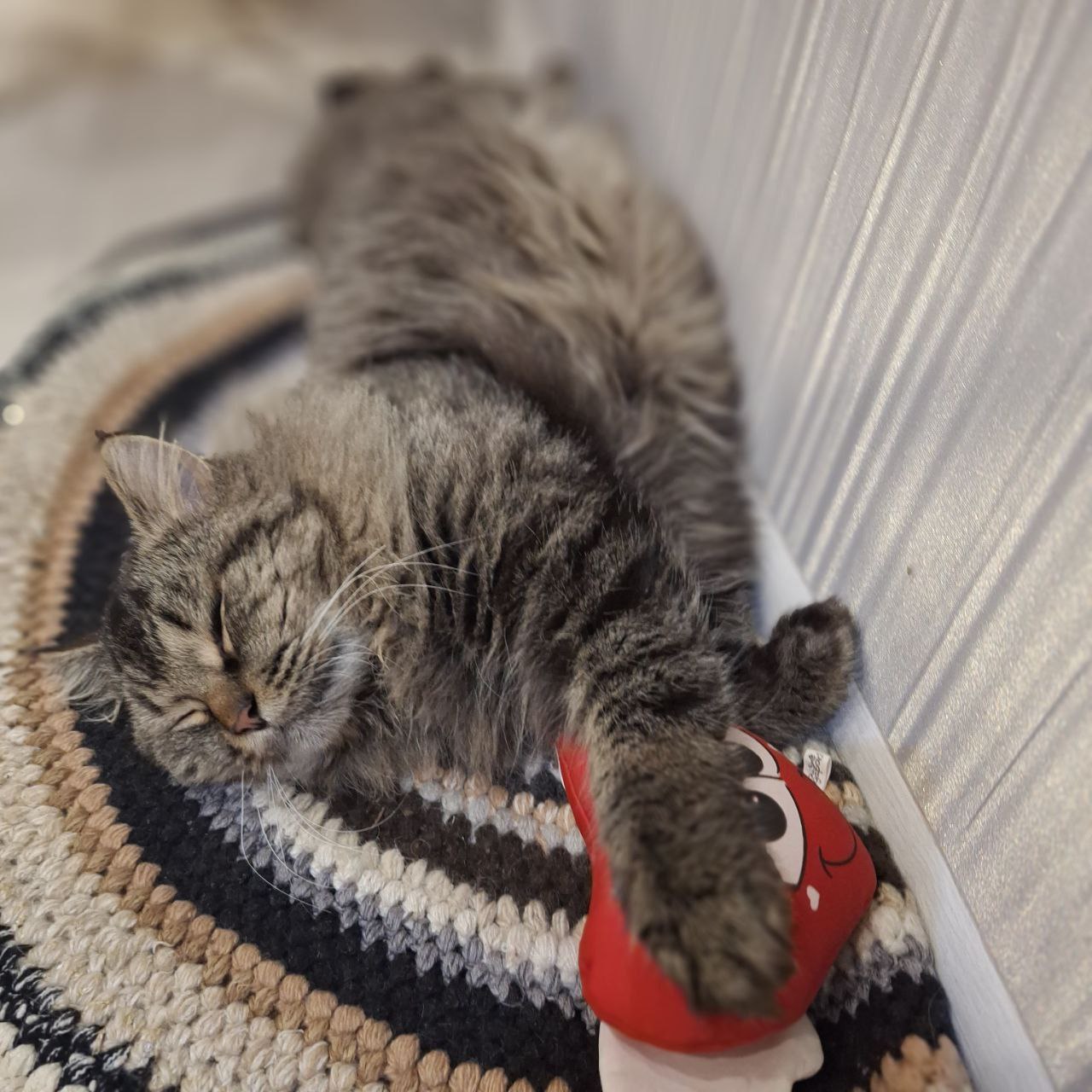 Доброе утро! Прогноз погоды на 10 декабря