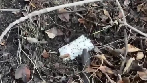 В Оренбурге на кладбище задержали наркокурьера с крупной партией наркотиков