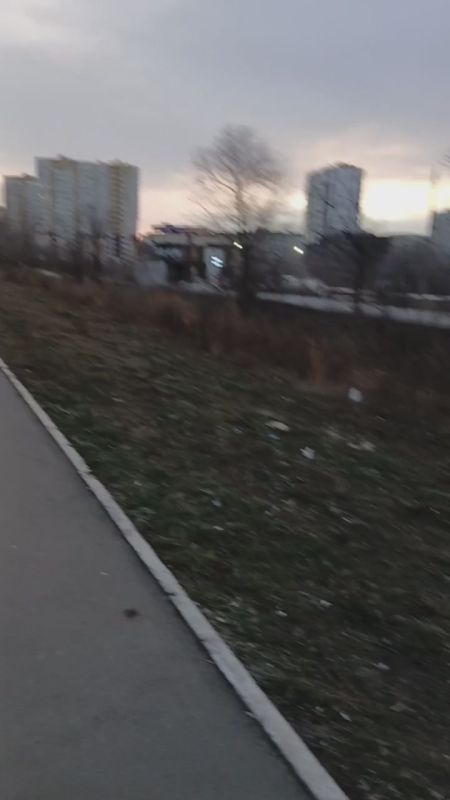 «УК хочет облегчить себе жизнь»: Администрация предлагает жителям Оренбурга самостоятельно косить траву перед домом