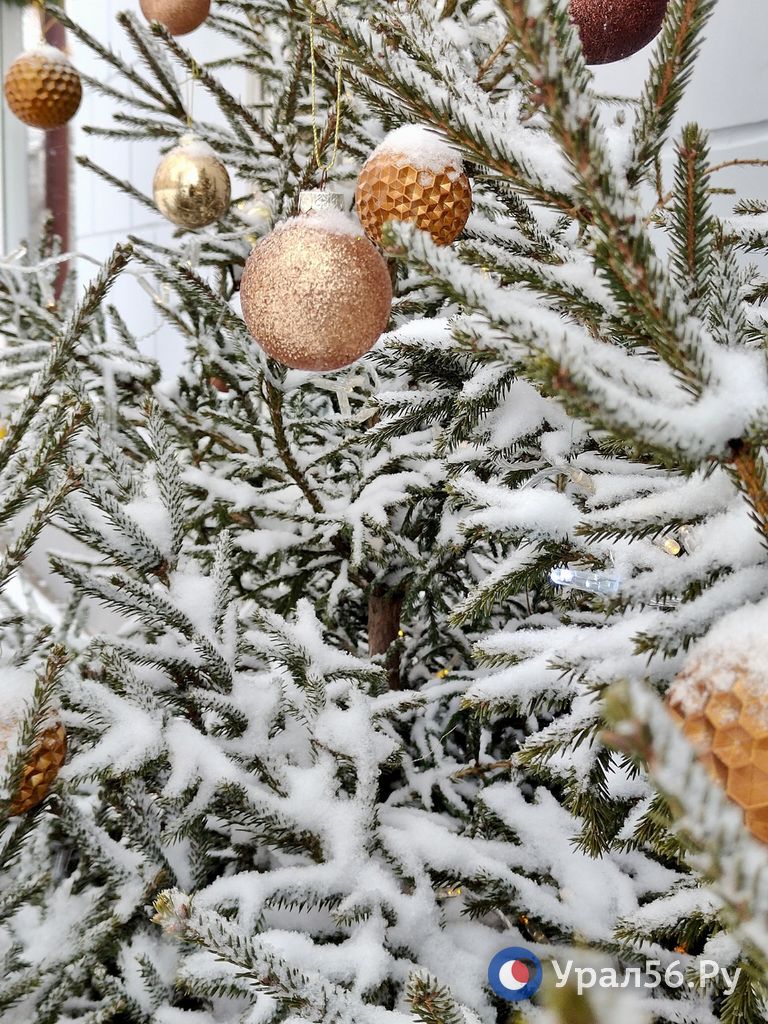 Оренбург и долгожданный снег Оренбург и долгожданный снег