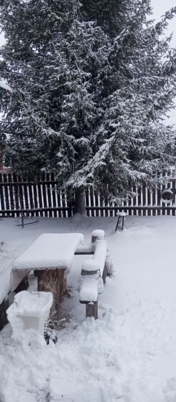 ������ ����! ������� ������ �� 14 �������