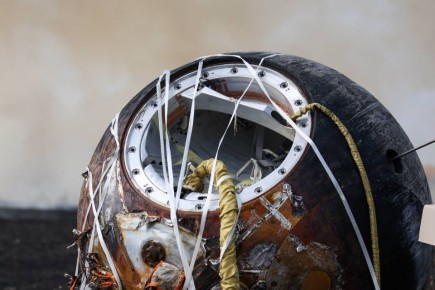 «БионМ» №2: итоги полёта и перспективы новых исследований