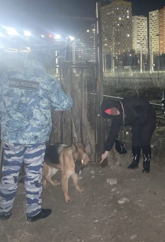 � ��������� ������������ ����������� ��������� ������� ����������, ������������� � ����� �������������� ���������