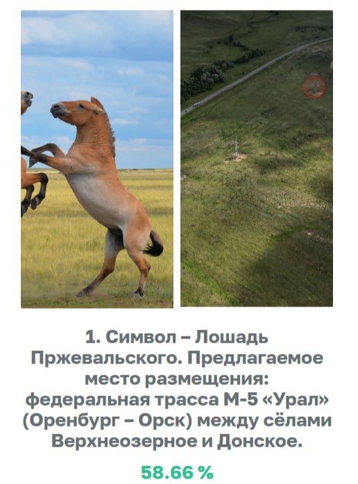 Оренбуржцы выбрали новый арт-объект