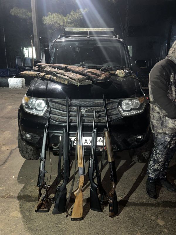 Незаконная охота: в Александровском районе изъяли три туши косуль