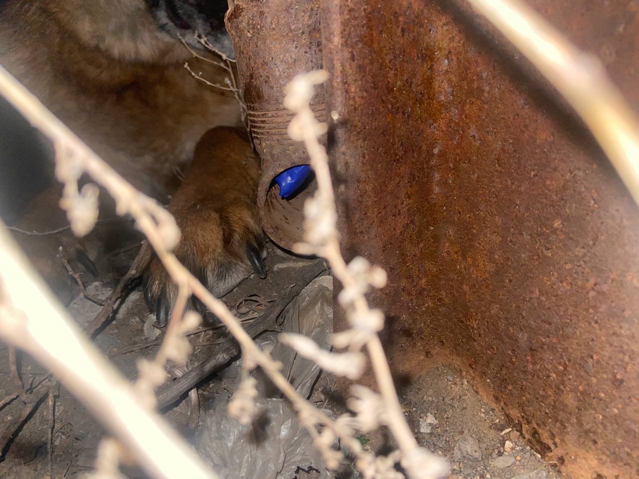 В Оренбурге транспортные полицейские задержали местную жительницу, подозреваемую в сбыте синтетического наркотика В Оренбурге транспортные полицейские задержали местную жительницу, подозреваемую в сбыте синтетического наркотика