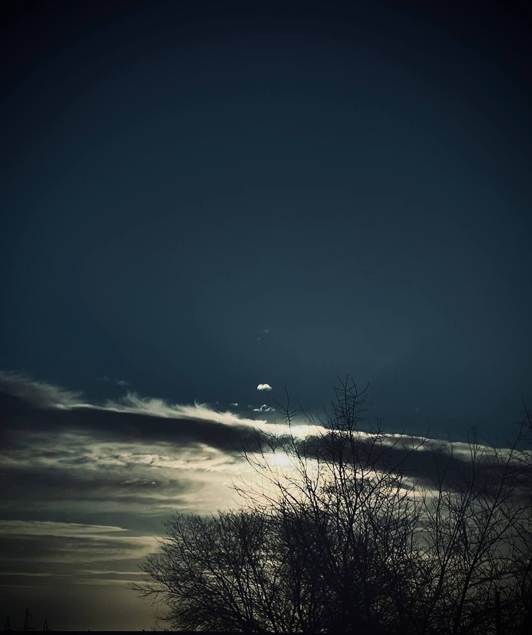 Зима вступила в свои права, но водоёмы ещё не покрылись надёжным льдом