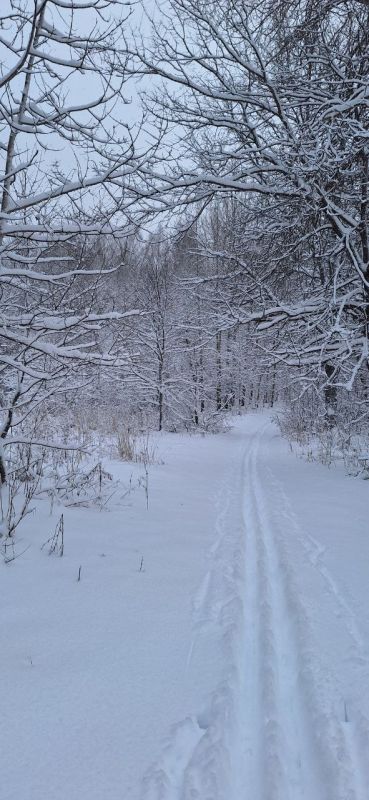 Доброе утро! Прогноз погоды на 15 декабря