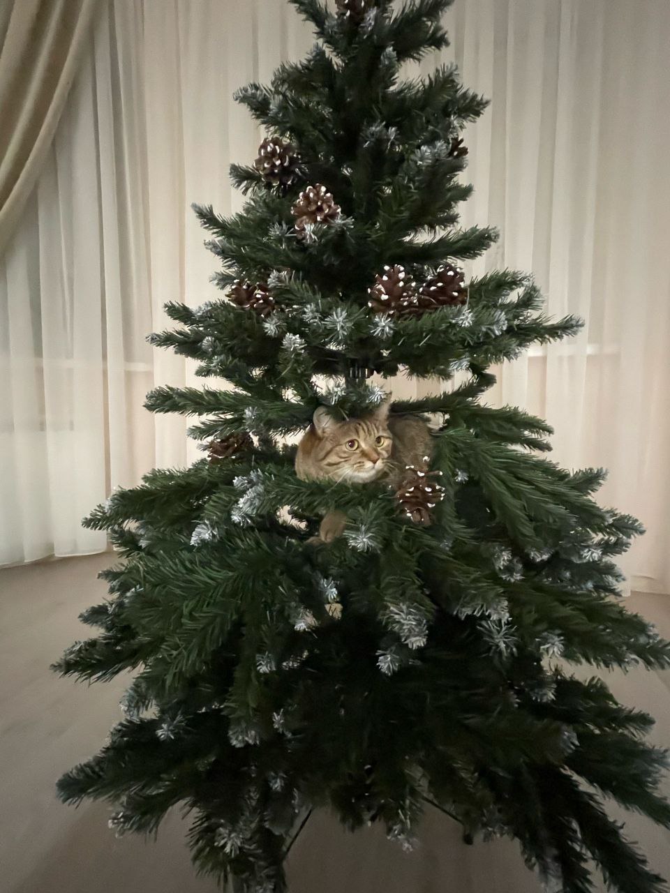 Новогодние корпоративы под вопросом: мнения разделились