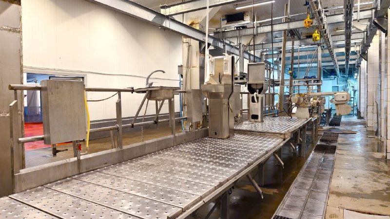 Оренбуржцы создали первую отечественную линию по убою свиней для мясокомбинатов