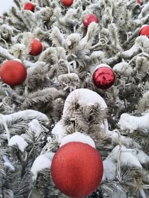 Доброе утро! Прогноз погоды на 17 декабря